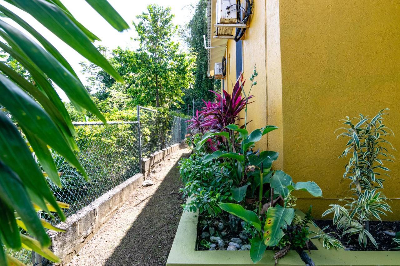 Ocho Rios Emerald 2 Bed 10 Mins Ocho Rios 24Hrs Hot Water Wi Fi Zewnętrze zdjęcie