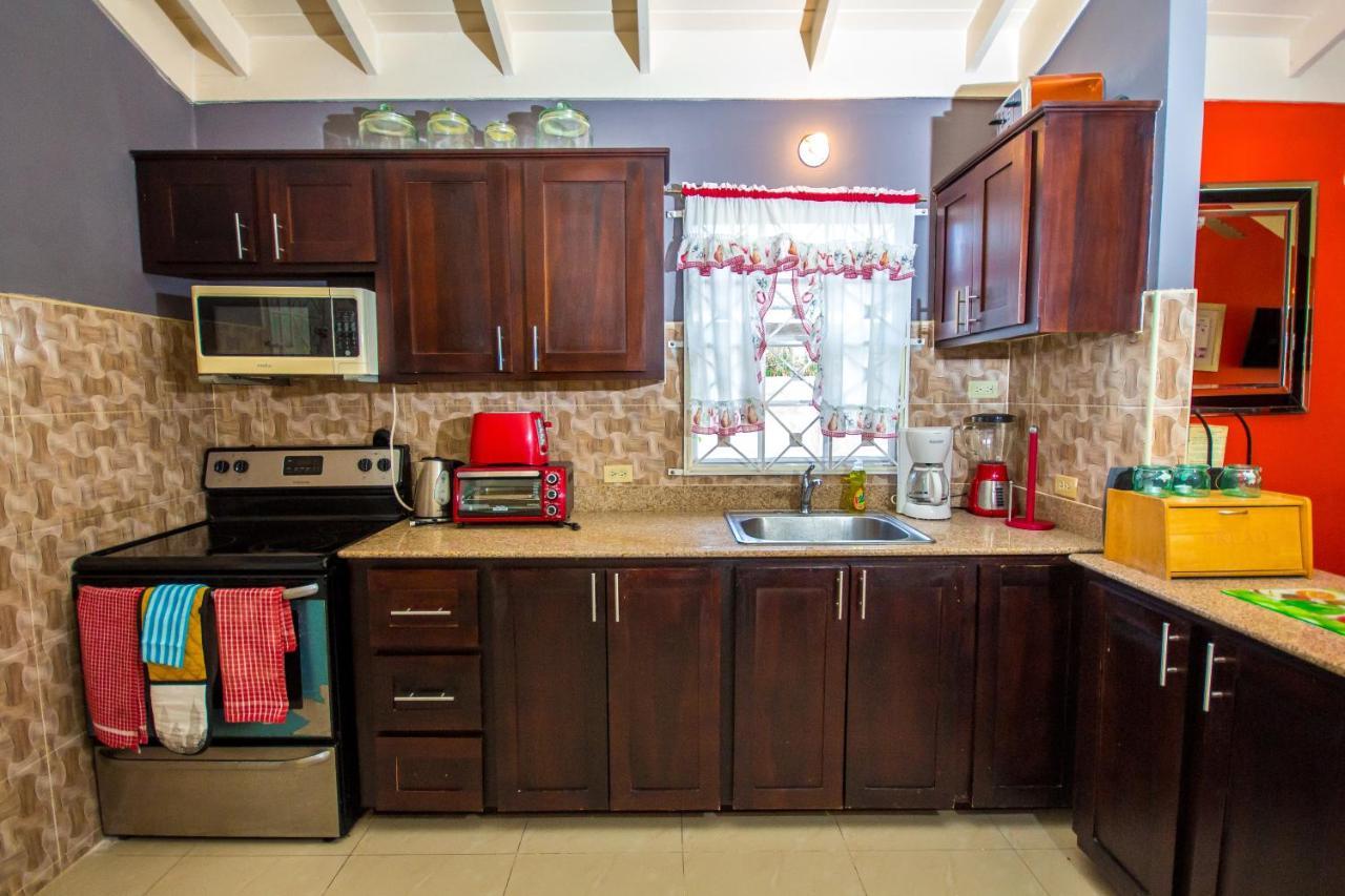 Ocho Rios Emerald 2 Bed 10 Mins Ocho Rios 24Hrs Hot Water Wi Fi Zewnętrze zdjęcie